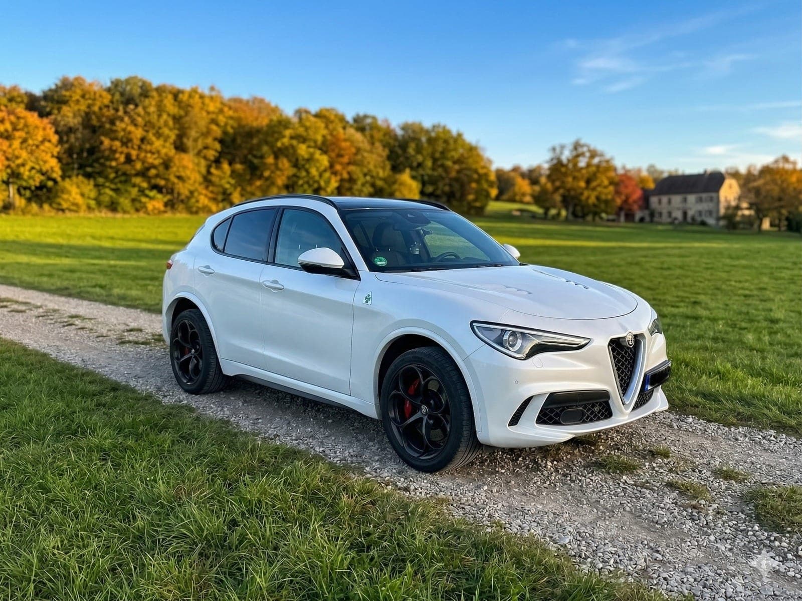Alfa Romeo Stelvio 2.9 V6 Bi-Turbo Q4 Quadrifoglio – Ansicht 1
