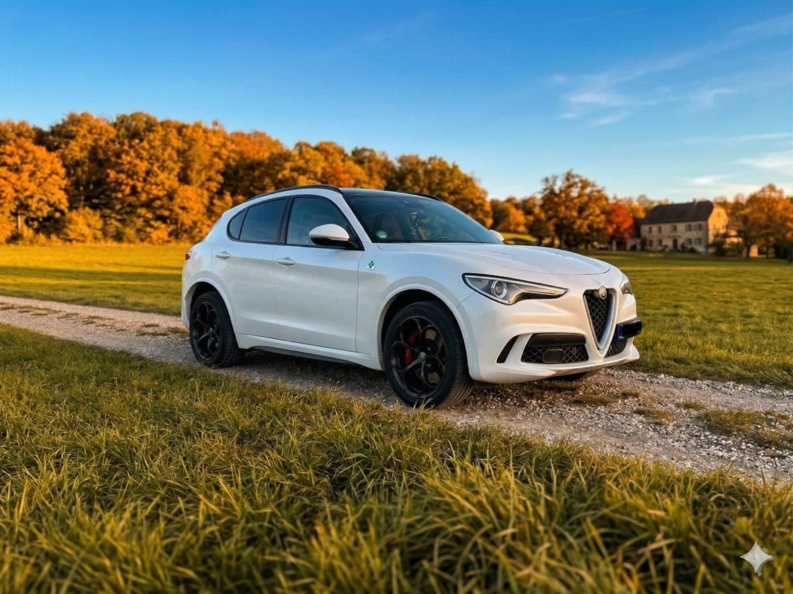 Alfa Romeo Stelvio 2.9 V6 Bi-Turbo Q4 Quadrifoglio – Ansicht 2