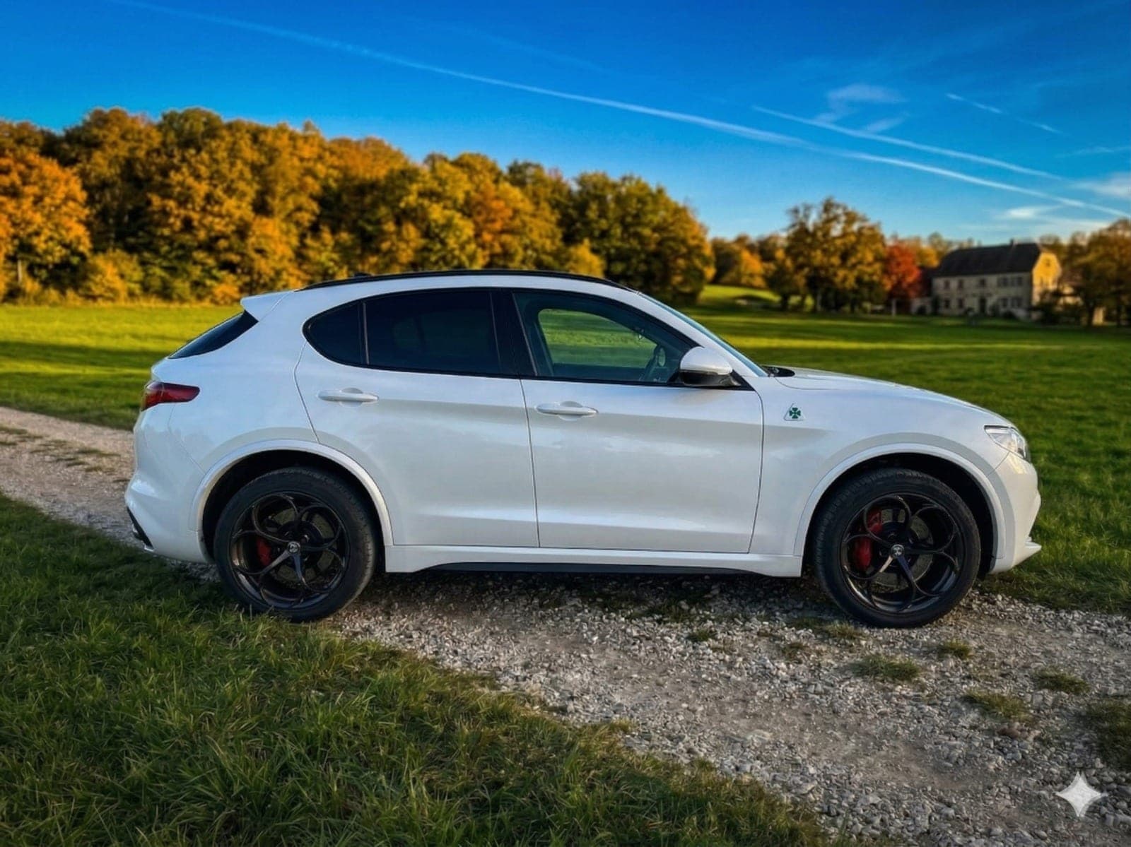 Alfa Romeo Stelvio 2.9 V6 Bi-Turbo Q4 Quadrifoglio – Ansicht 3