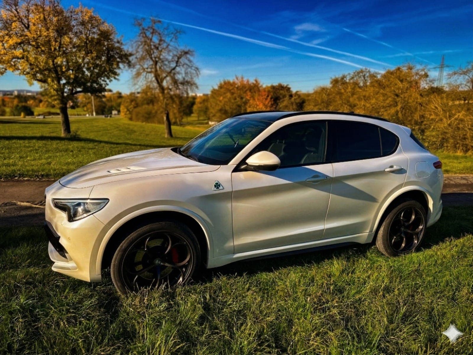 Alfa Romeo Stelvio 2.9 V6 Bi-Turbo Q4 Quadrifoglio – Ansicht 4