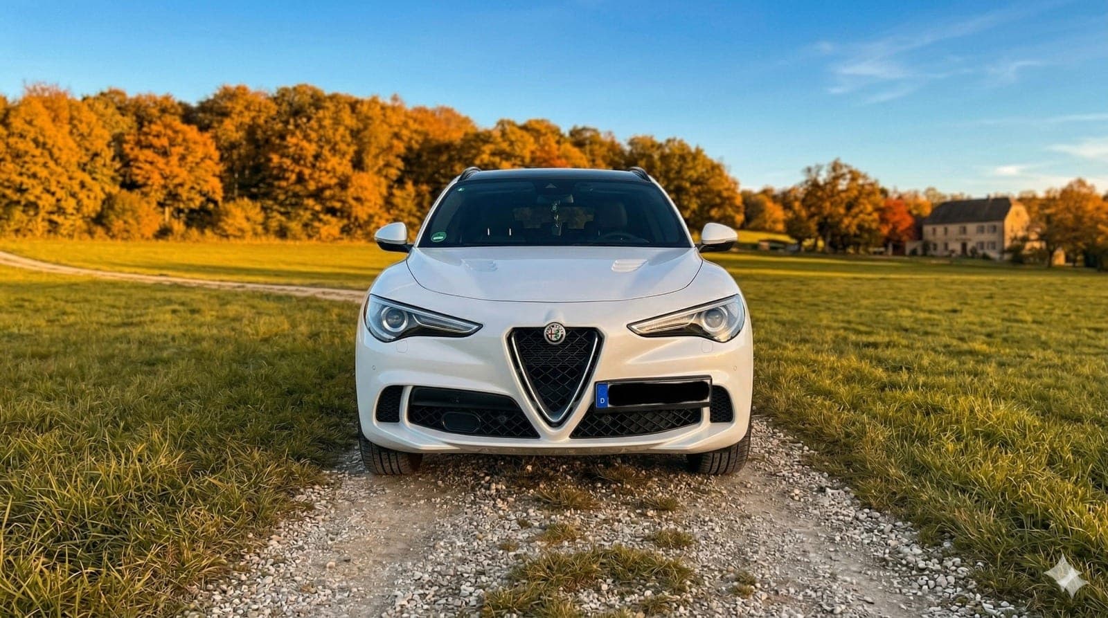 Alfa Romeo Stelvio 2.9 V6 Bi-Turbo Q4 Quadrifoglio – Ansicht 5