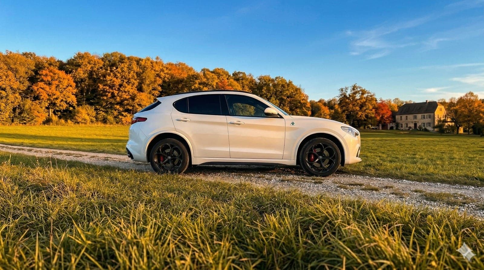 Alfa Romeo Stelvio 2.9 V6 Bi-Turbo Q4 Quadrifoglio – Ansicht 8
